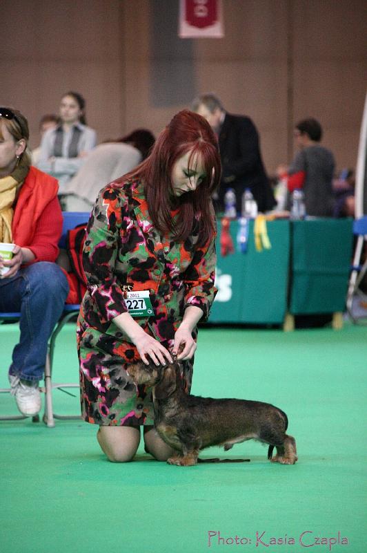 Crufts2011_2 839.jpg